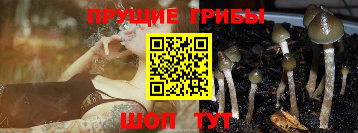 Галлюциногенные грибы MAGIC MUSHROOMS  Псилоцибиновые грибы мицелий  Бутурлиновка  Вход с VPN 